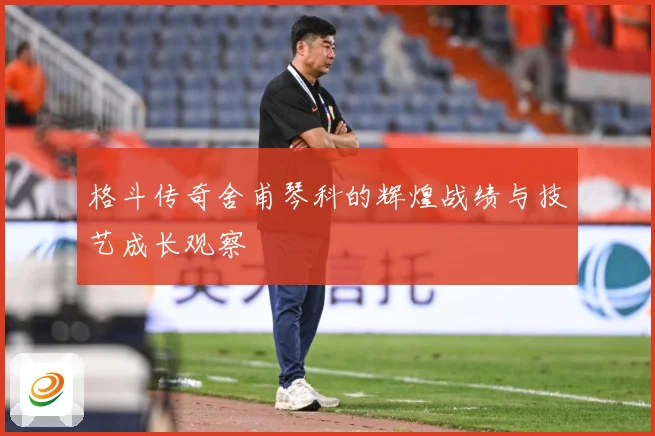 格斗传奇舍甫琴科的辉煌战绩与技艺成长观察