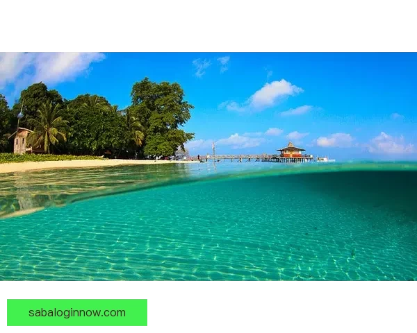 沙巴最新旅游攻略与景点美食全方位详细指南